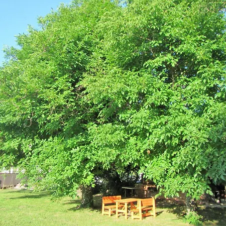 Pod Orehi Postojna