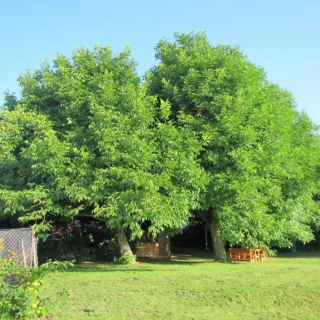 Pod Orehi Bed & Breakfast