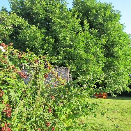 Pod Orehi Bed & Breakfast 2*