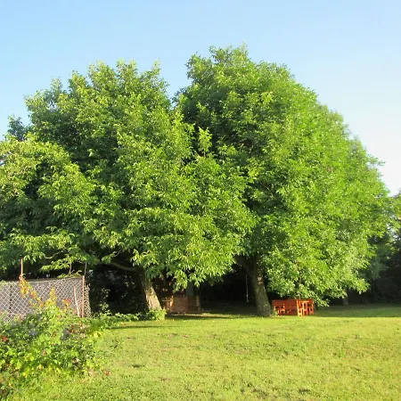 Pod Orehi 2* Postojna