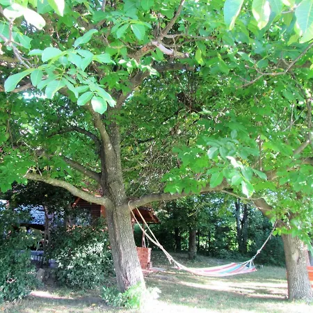 Bed & Breakfast Pod Orehi Postojna