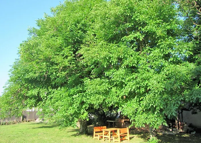 Pod Orehi بوستوينا