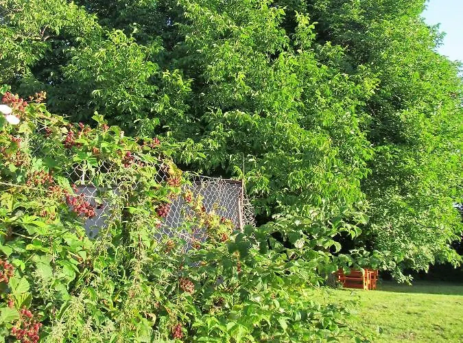 Pod Orehi فندق مبيت وإفطار 2*