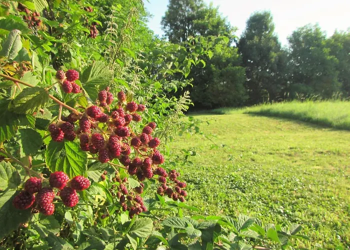 فندق مبيت وإفطار Pod Orehi 2*