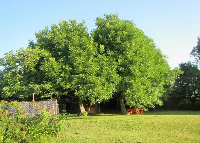 Pod Orehi 2* بوستوينا