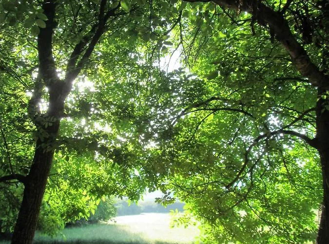 Pod Orehi بوستوينا