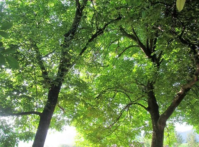 فندق مبيت وإفطار Pod Orehi 2*