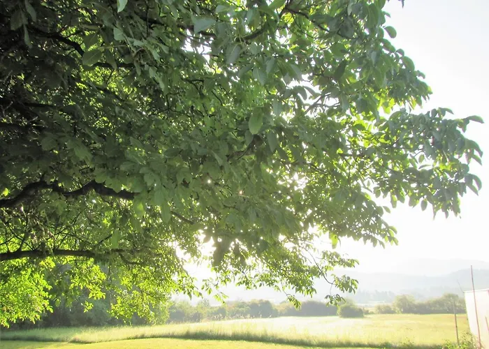 Pod Orehi بوستوينا