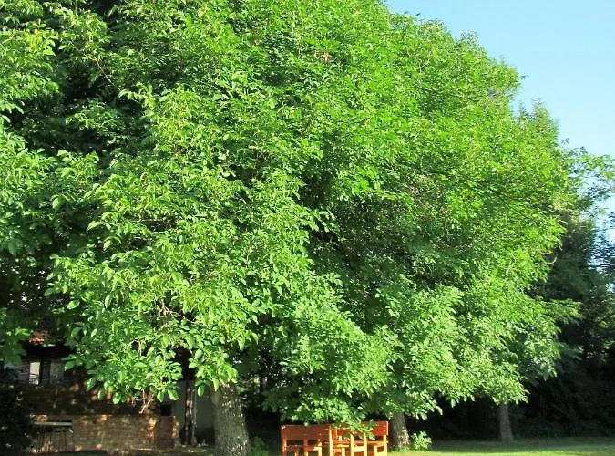 Pod Orehi فندق مبيت وإفطار 2*